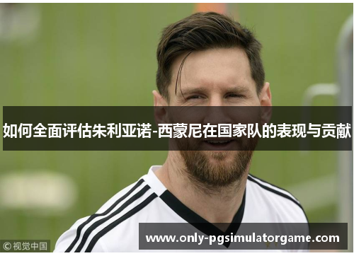 如何全面评估朱利亚诺-西蒙尼在国家队的表现与贡献