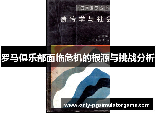 罗马俱乐部面临危机的根源与挑战分析