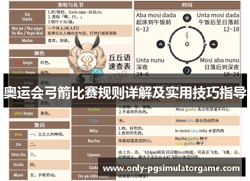 奥运会弓箭比赛规则详解及实用技巧指导