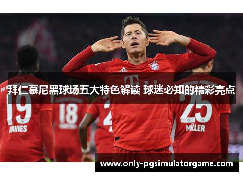 拜仁慕尼黑球场五大特色解读 球迷必知的精彩亮点