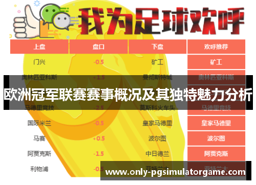 欧洲冠军联赛赛事概况及其独特魅力分析