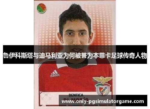 鲁伊科斯塔与迪马利亚为何被誉为本菲卡足球传奇人物