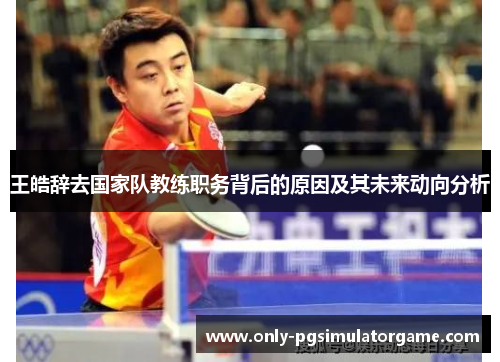 王皓辞去国家队教练职务背后的原因及其未来动向分析