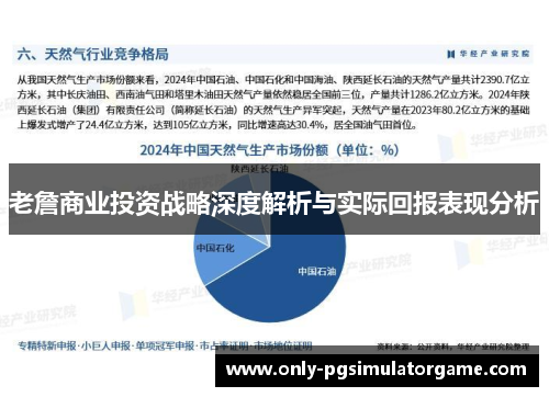 老詹商业投资战略深度解析与实际回报表现分析 老詹商业投资战略深度解析与实际回报表现分析